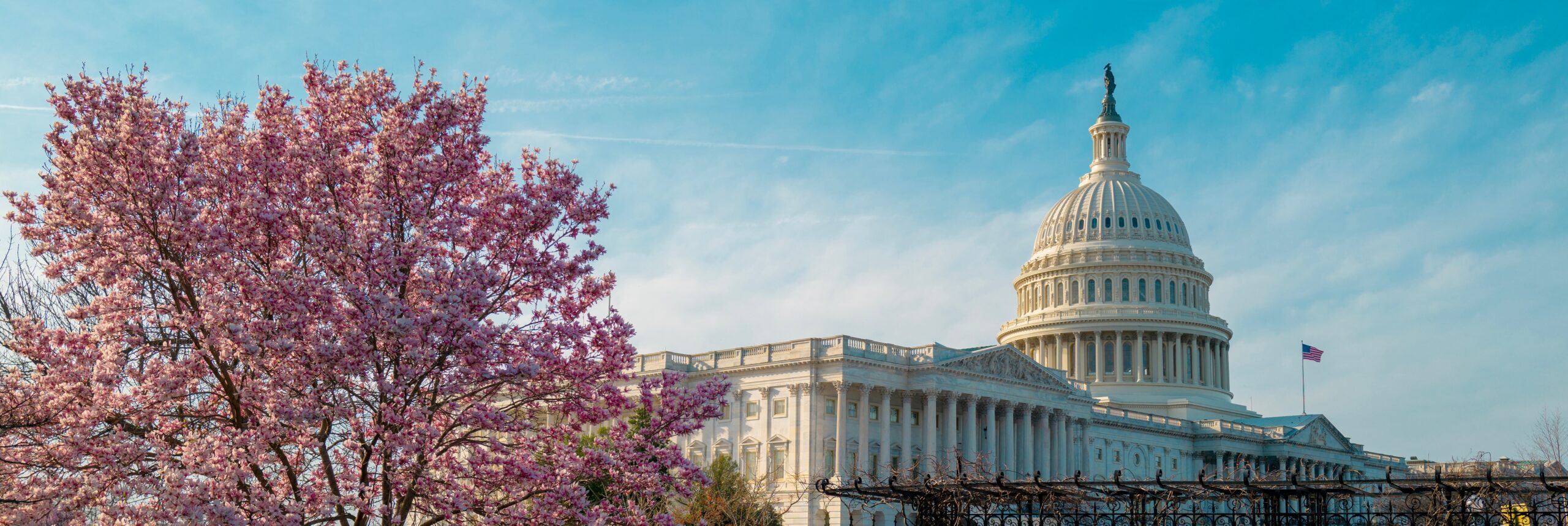 shutterstock 2438433067 2 scaled