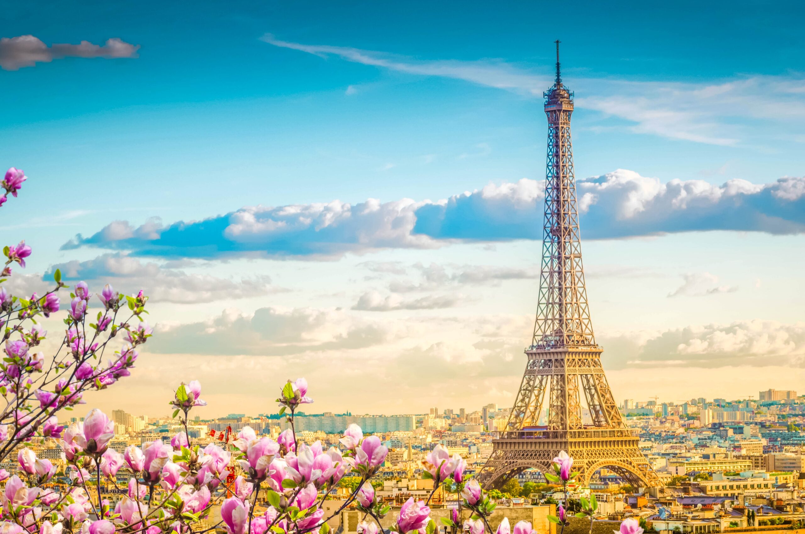 shutterstock 2612060209 scaled